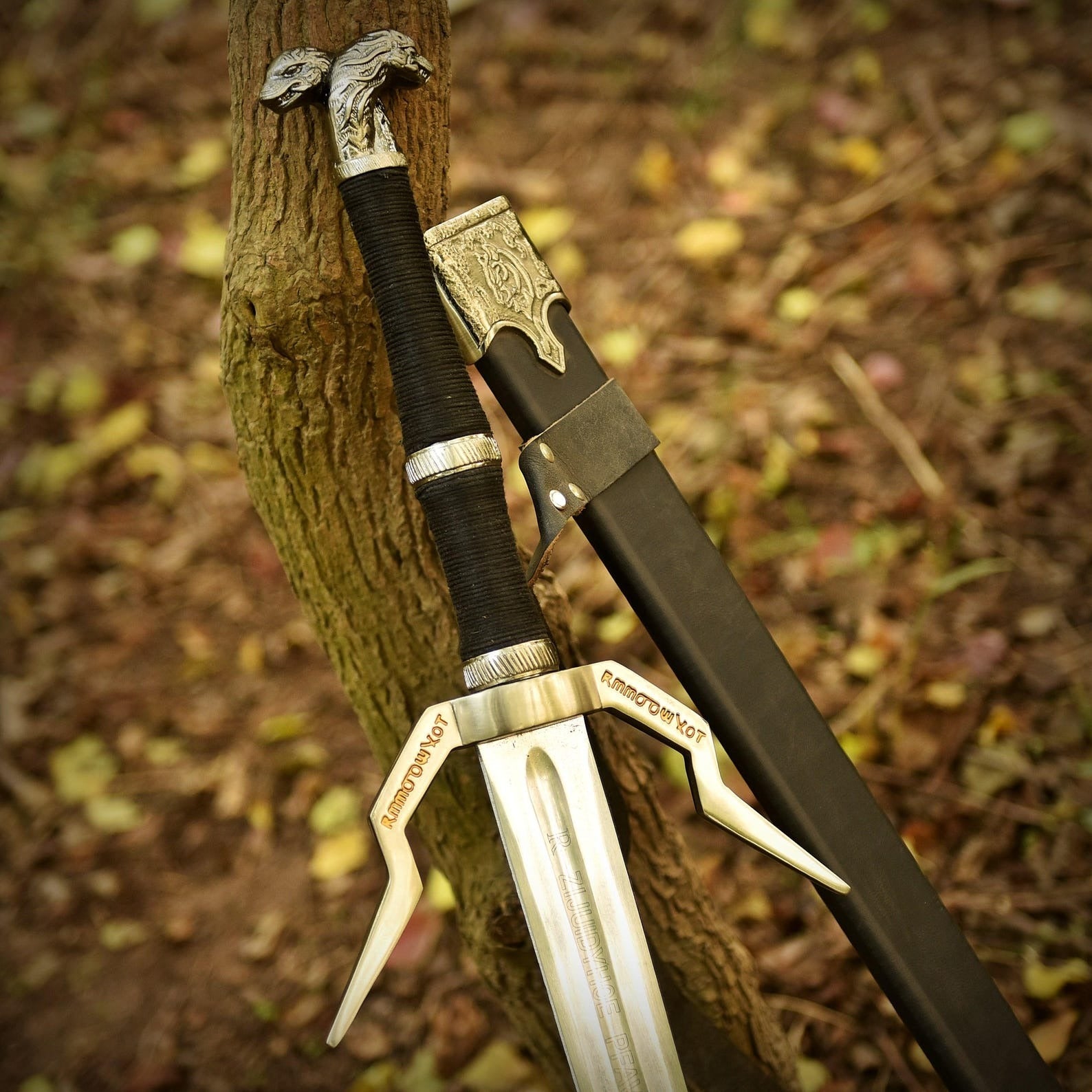 Witcher Swords